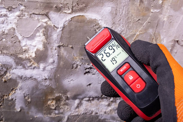 Best Certified Mold Removal  in Athens, MI