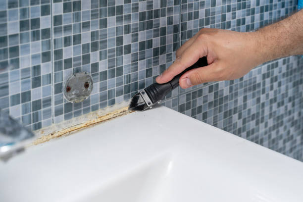 Best Mold Inspection  in Athens, MI