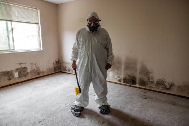 Best Commercial Mold Removal  in Athens, MI